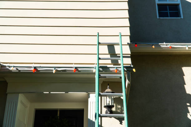 Best Historical Building Siding Restoration  in Bridge City, LA