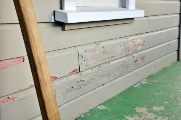 Professional Siding Installation & Repair in Bridge City, LA